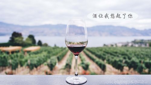 葡萄酒的制作范文，葡萄酒的制作流程