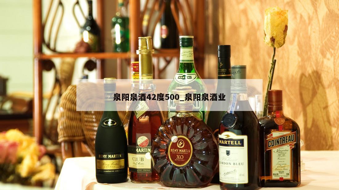 泉阳泉酒42度500_泉阳泉酒业