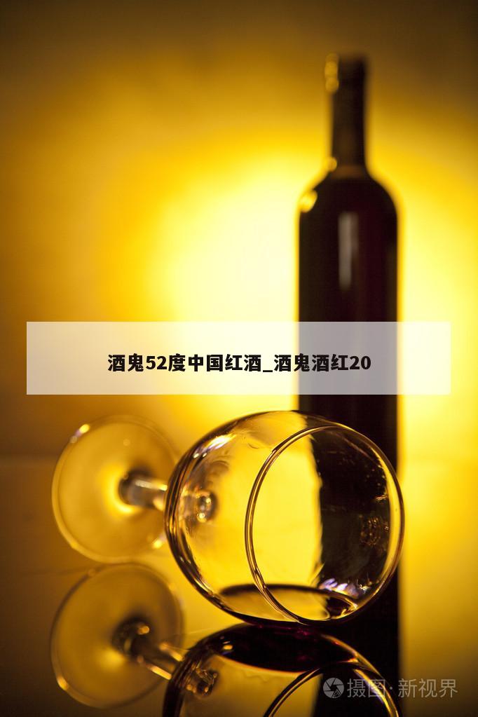 酒鬼52度中国红酒_酒鬼酒红20